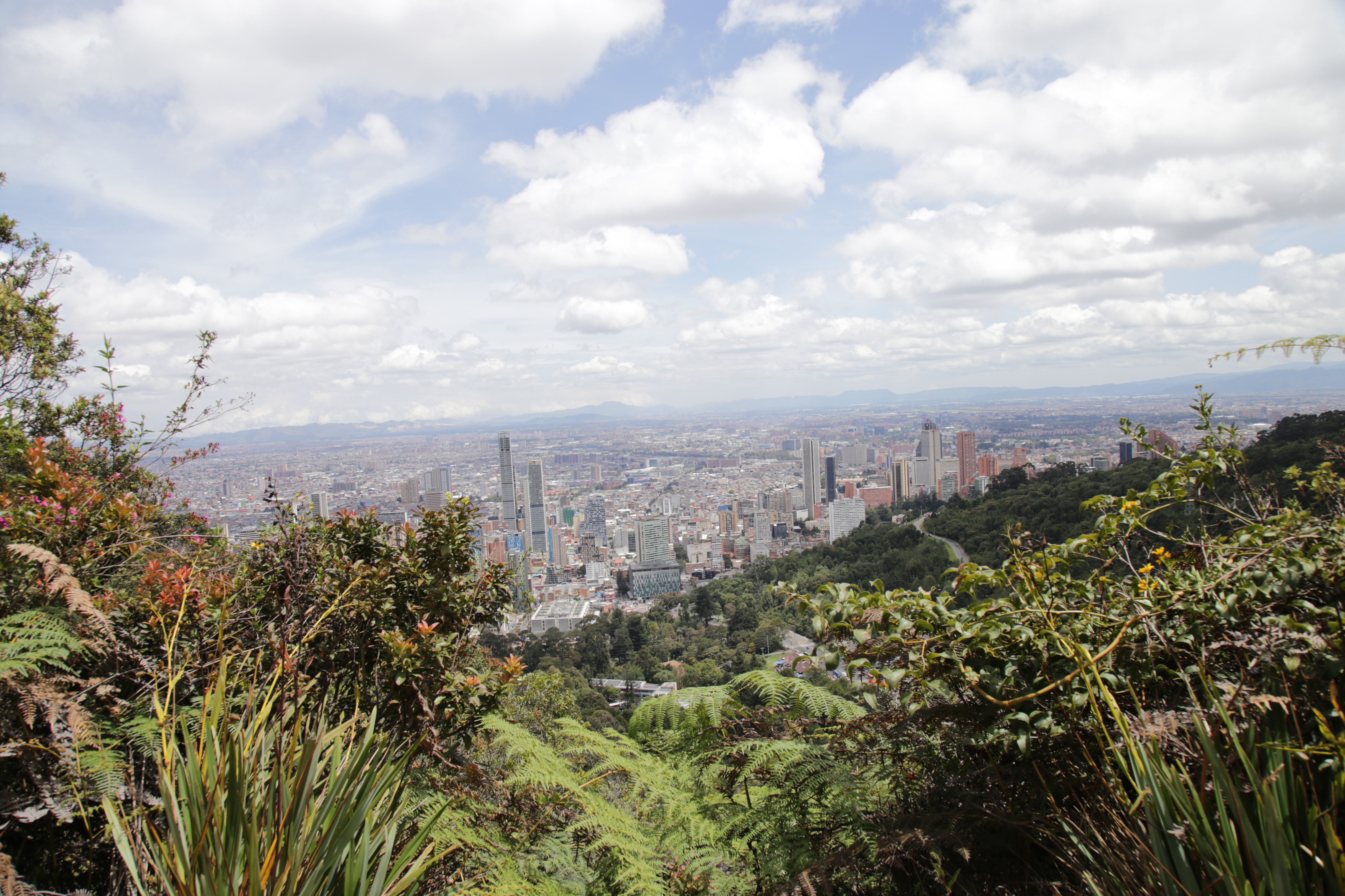 Bogotá 486 años sorprendente – Río San Francisco